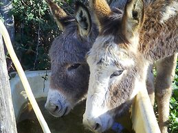 Agriturismo Bosco Pianetti