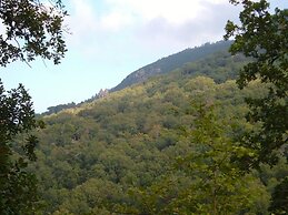 Agriturismo Bosco Pianetti