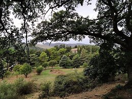 Agriturismo Bosco Pianetti