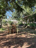 Agriturismo Bosco Pianetti