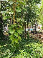 Ecovergel Riviera Maya Hotel Boutique