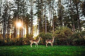 Center Parcs Le Bois aux Daims