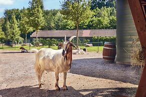 Center Parcs Le Lac d'Ailette