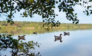 Sunparks Kempense Meren
