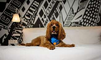 Radisson RED V&A Waterfront, Cape Town