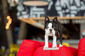 Radisson RED V&A Waterfront, Cape Town