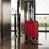 Radisson RED V&A Waterfront, Cape Town