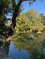 Les Tuileries de Chanteloup