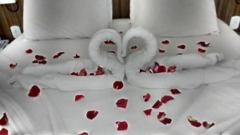 Lacqua diRoma - Caldas Tur