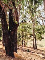 Maya Maya at Mandoon Estate
