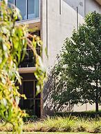 Maya Maya at Mandoon Estate