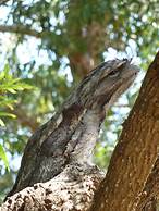 The Abbey Raymond Island