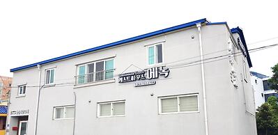 Guesthouse Enoch - Hostel