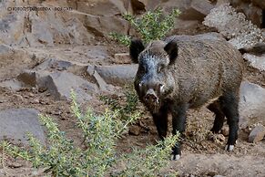 Country House S'Ozzastru