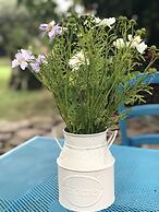 Country House S'Ozzastru