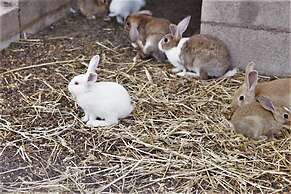 Country House S'Ozzastru