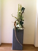 Hotel Il Mulino