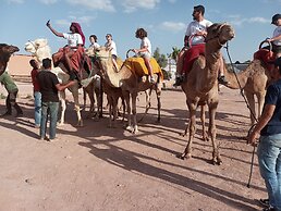 Tissili Auberge Restaurant Oasis de Fint