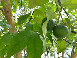 Saipan Family Residence