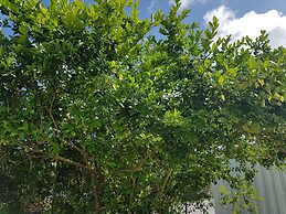 Saipan Family Residence