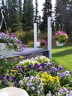 Denali Primrose B&B
