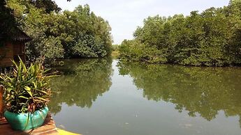 Mangroves & More