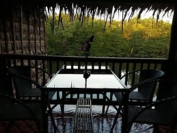 Mangroves & More