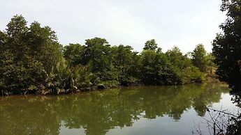 Mangroves & More