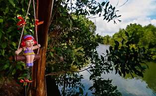 Mangroves & More