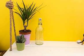 Pineapple Surf House - Hostel