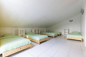 Pineapple Surf House - Hostel