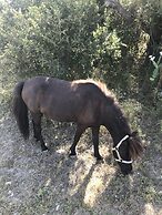 City on a Hill at Spring Creek