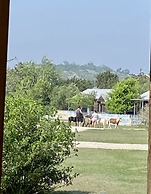 City on a Hill at Spring Creek