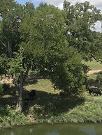 City on a Hill at Spring Creek