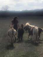 City on a Hill at Spring Creek