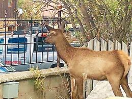 Park Hotel Yellowstone