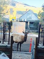 Park Hotel Yellowstone