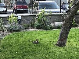 Park Hotel Yellowstone