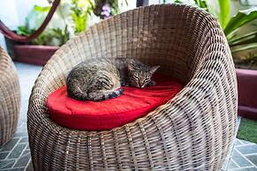 Bulskamp Inn - Adults Only