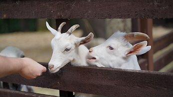 Russian seasons Park-hotel Peresvet