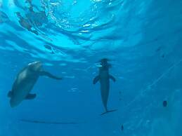 Miyajima Machiya Hotel Shiomachi-An