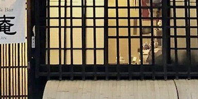 Miyajima Machiya Hotel Shiomachi-An