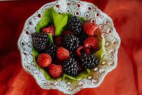 TshiBerry Bed & Breakfast