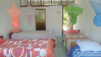 Hostal El Lobo - Adults Only - Hostel