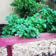 Hotel y Restaurante Las Tablitas