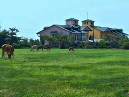 Bohemian Holiday Inn