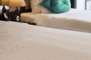 Alisa Premier Cruise