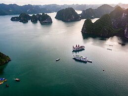 Alisa Premier Cruise