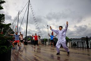 Alisa Premier Cruise