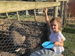 Willow Court Farm